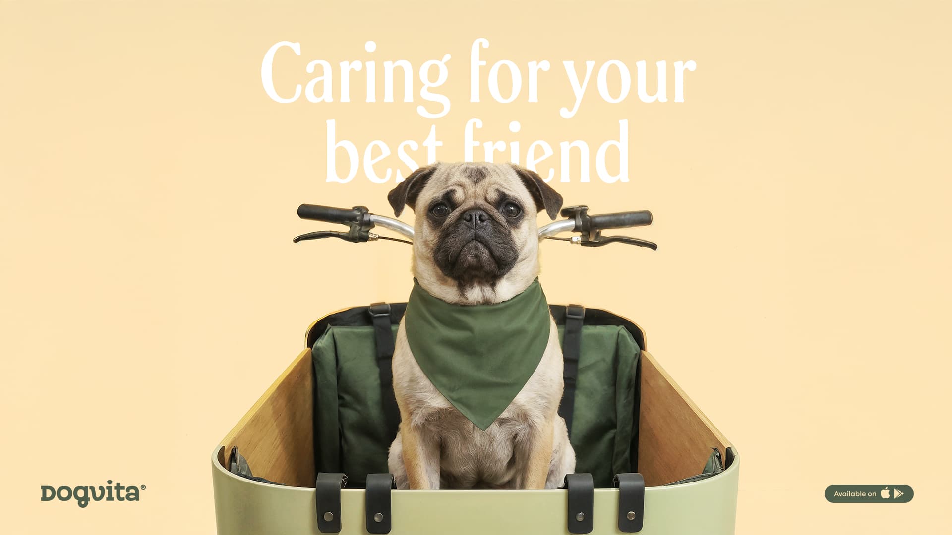 A pug wearing a green bandana sits calmly in a DogVita cargo bike on a butter-cream backdrop