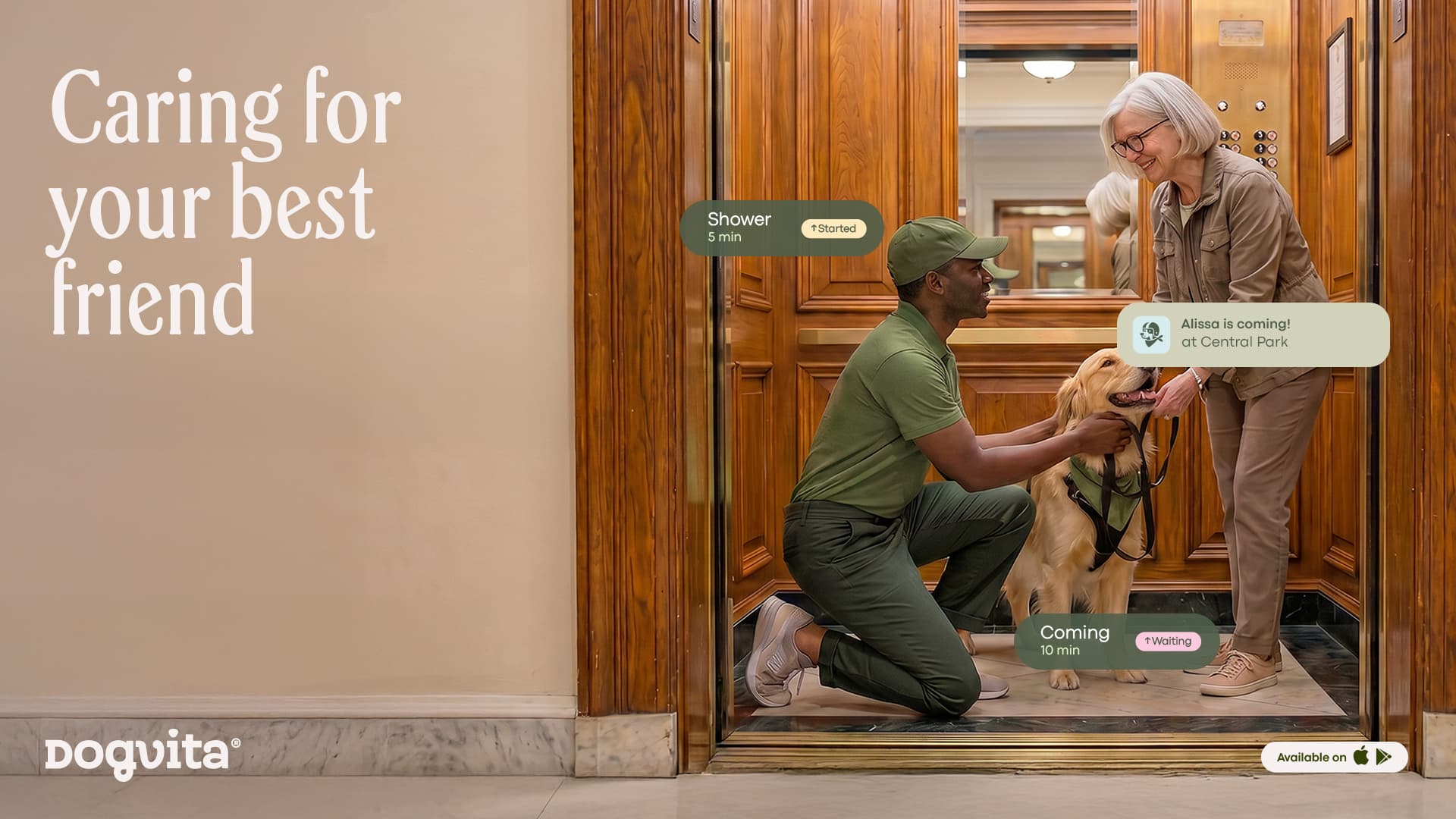 DogVita walker kneeling beside a calm golden retriever while an older client smiles in a wood-panelled elevator