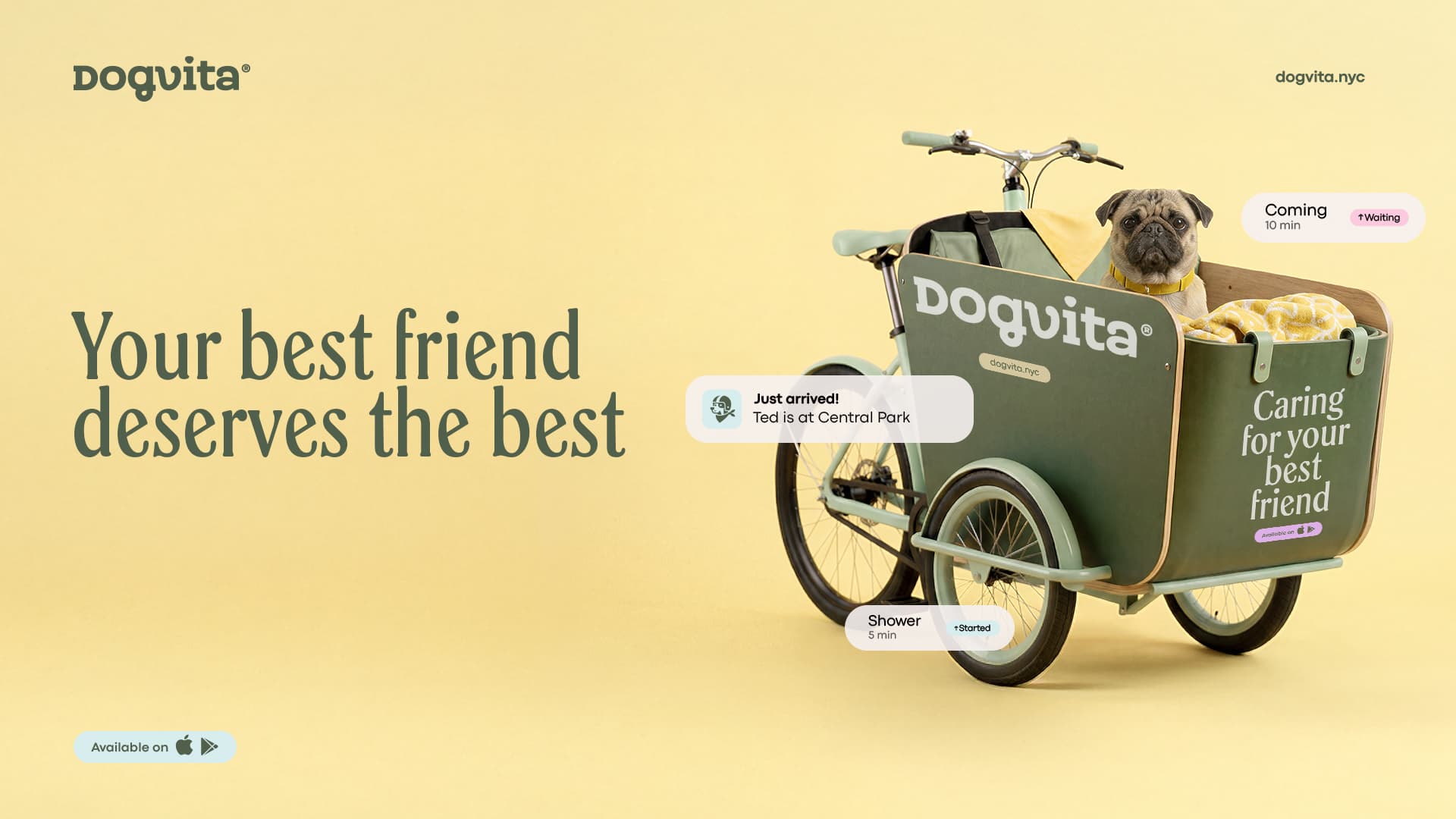 A pug sits in a DogVita cargo bike beside the slogan Your best friend deserves the best