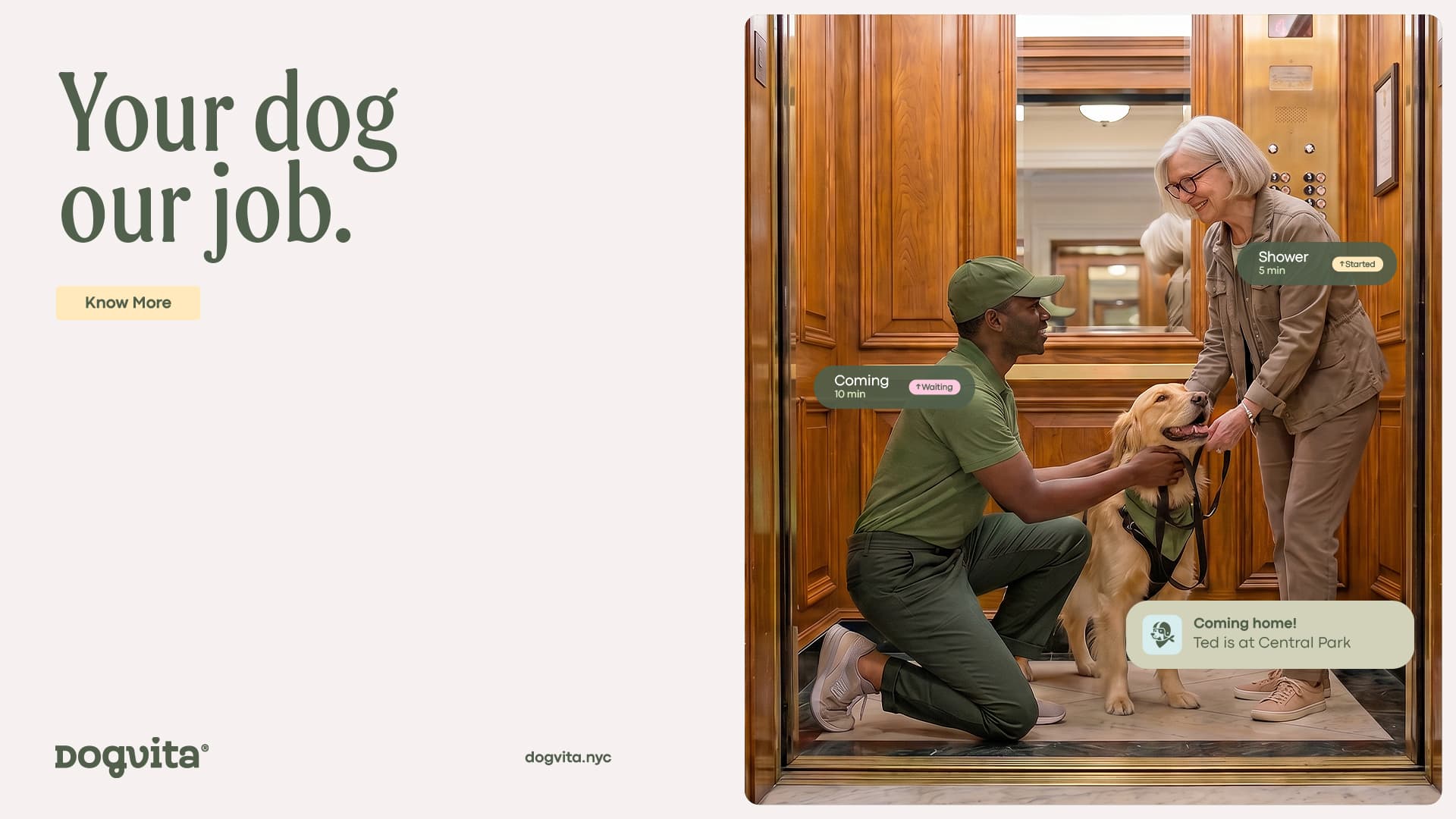 DogVita walker handing off a golden retriever to an older client inside a wood-panelled elevator