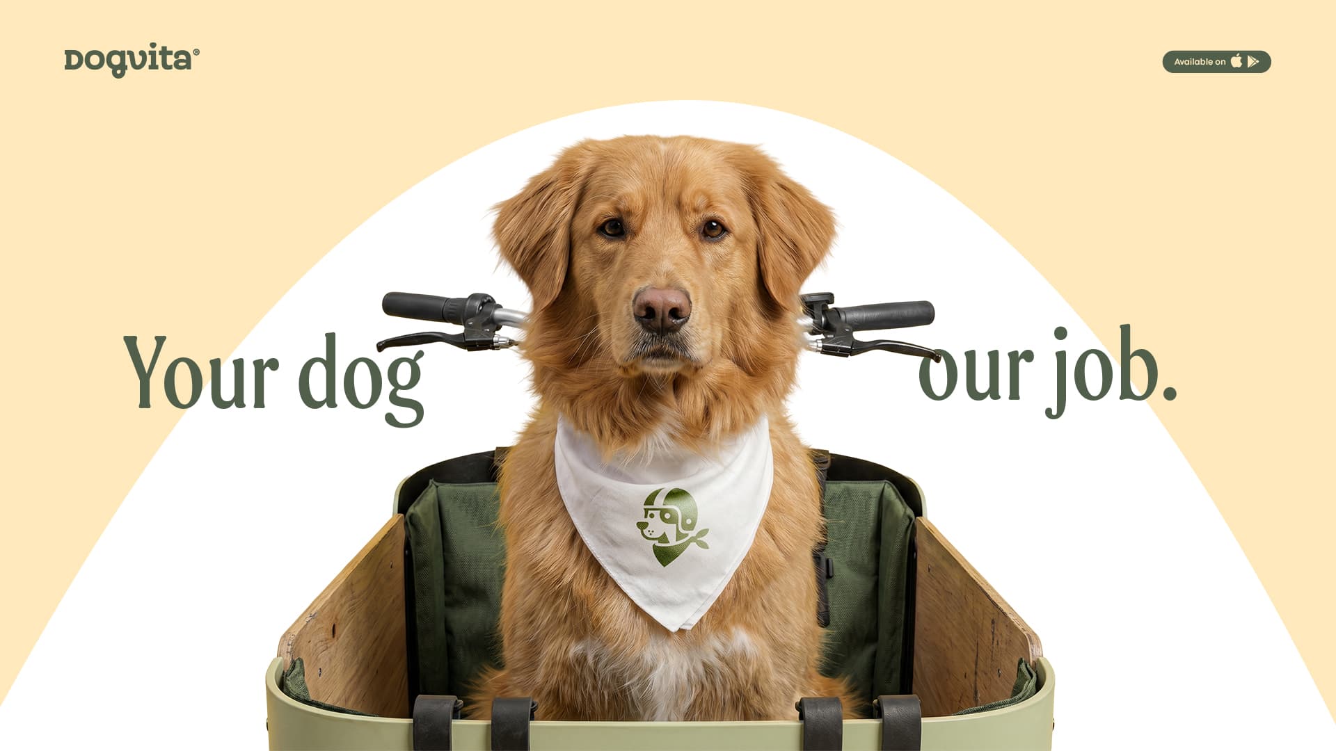 Golden retriever sitting in a DogVita cargo bike on a butter-cream backdrop
