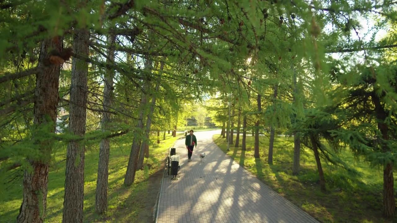 A person walking their dog through a park on a sunny day