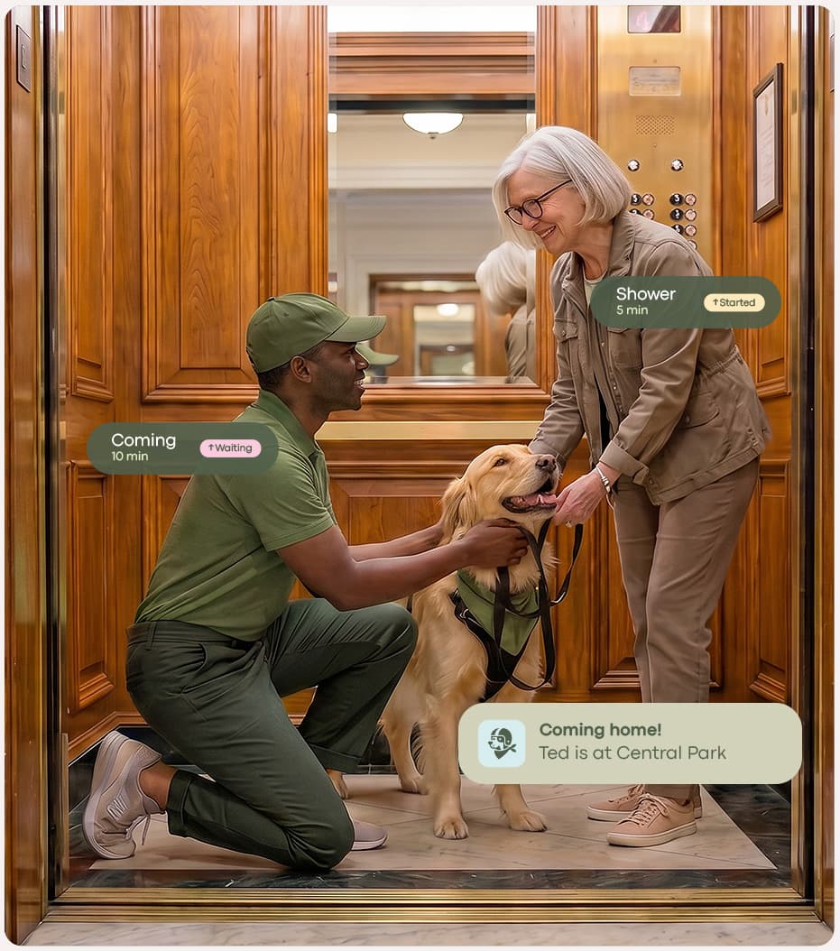 A DogVita walker kneeling to greet a golden retriever and its owner in a New York City building elevator